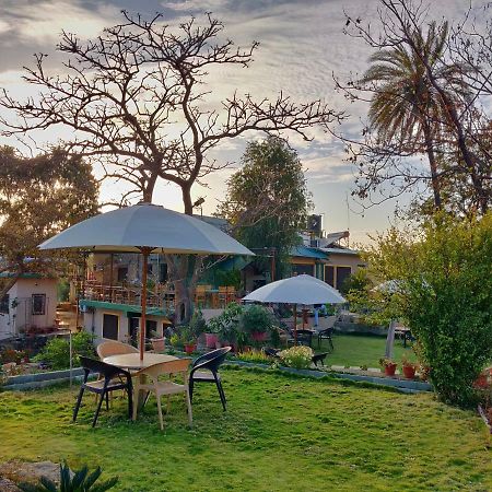 Forest Eco Lodge Маунт-Абу Экстерьер фото