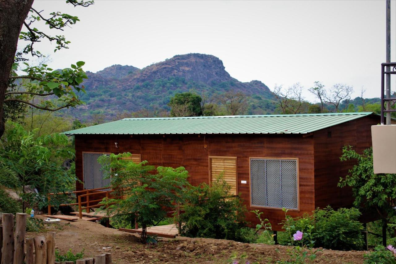 Forest Eco Lodge Маунт-Абу Экстерьер фото
