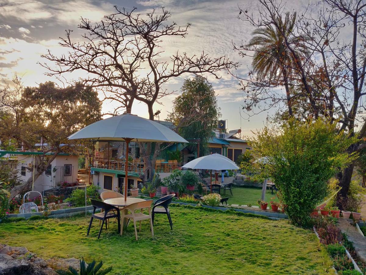 Forest Eco Lodge Маунт-Абу Экстерьер фото
